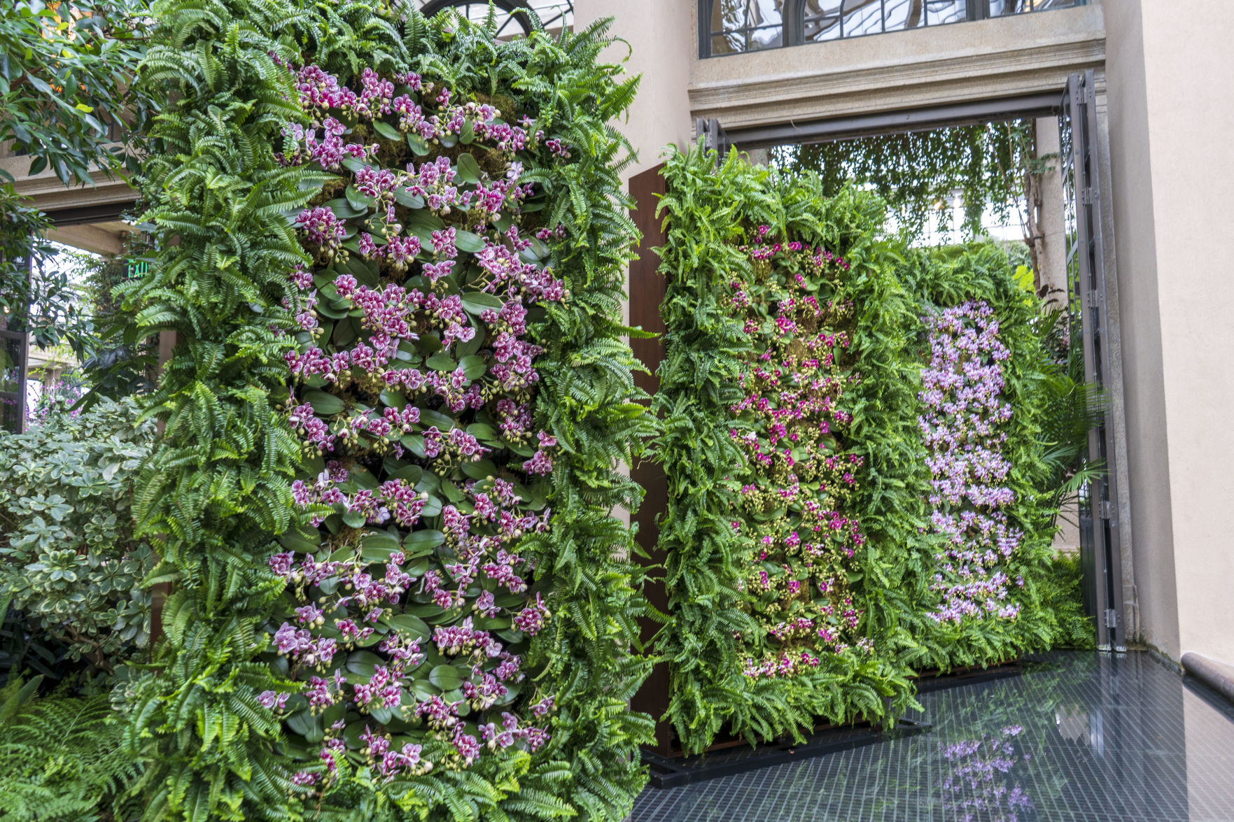 Longwood Gardens Orchids 2020 walls